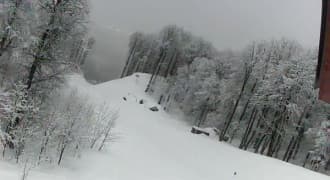 Восточный сектор